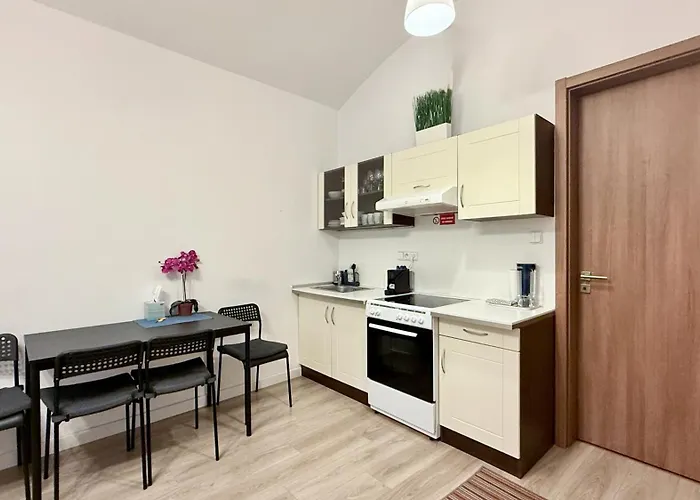 Apartment Dobrovskeho 30 *